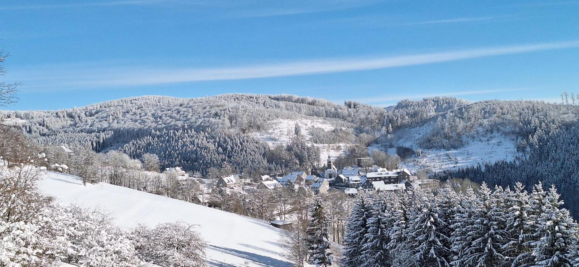 Landhaus Gnacke Schmallenberg Exterior photo